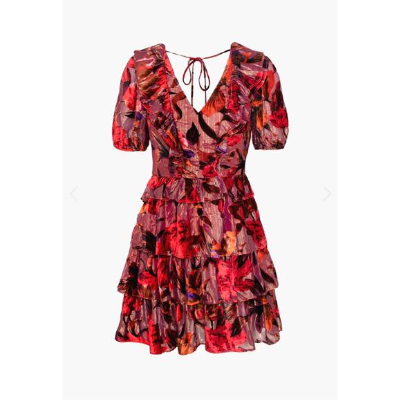 Adelyn Rae Khalia Burnout Red gold Velvet ruffle dress Mini Dress Womens Medium - Picture 11 of 12